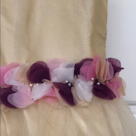 NWT. A-Line floor length flower girl dress - Picture 2 of 7